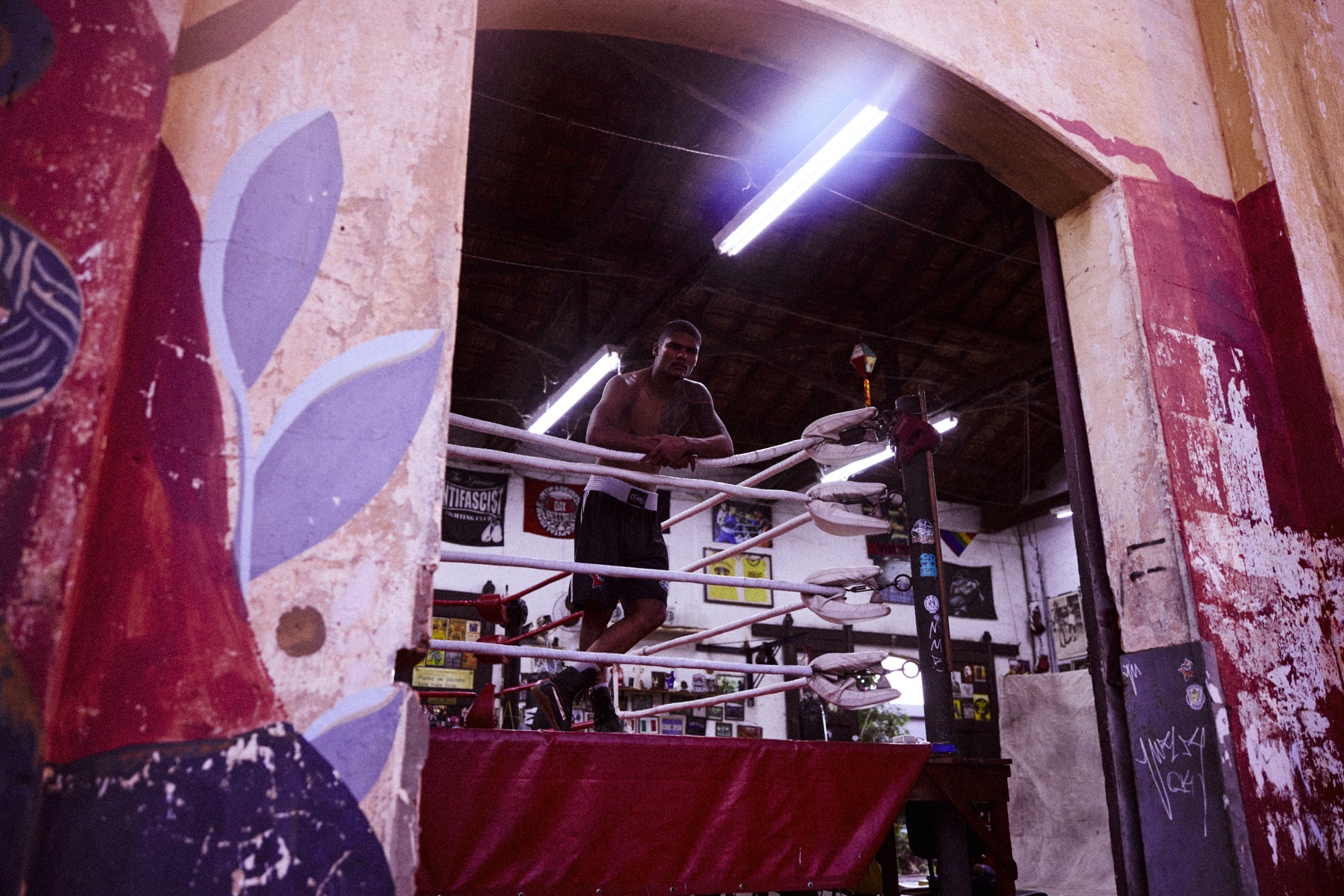 MMBOXE 13